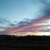 Seda Senay's photo