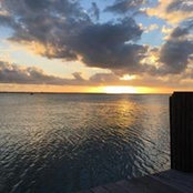 Donna Carty's photo