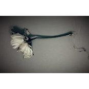 Evgeniya Ke's photo