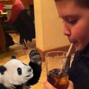Matthew Lowe's photo
