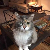 Julia Hulme's photo