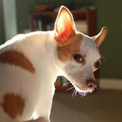 Andriena Smith's photo