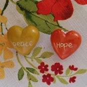 Lynn Van Nosdall's photo