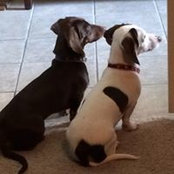 Betsy Morris's photo