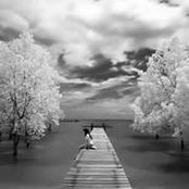Tuyết Vy's photo