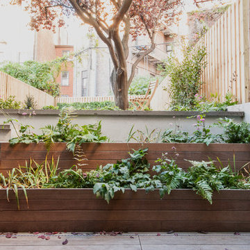 Eco House & Garden
