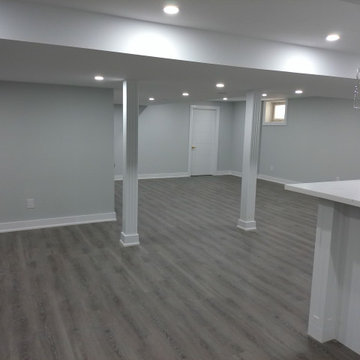 Basement With Custom Built Bar-Ajax