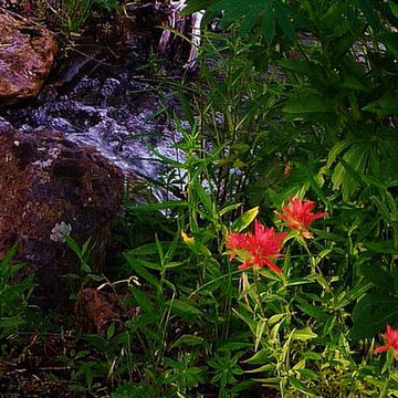 Stream in a garden landscape