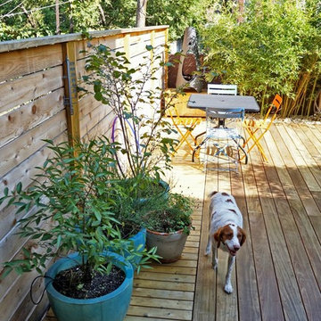 Carroll Gardens Backyard
