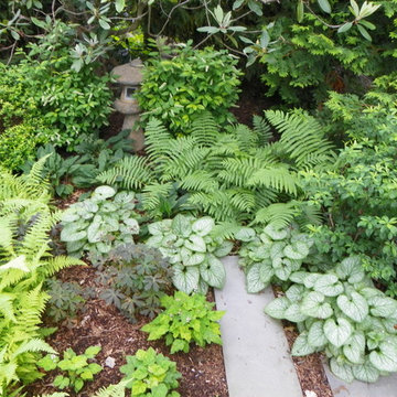 Small Oasis