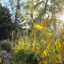 gardens