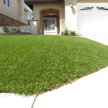 Turf: Up Close & Personal