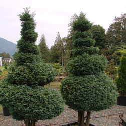 Frost Nursery 010.JPG - Plants