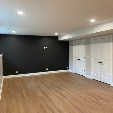 Basement  renovation