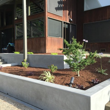 Custom Yard Design