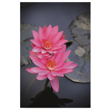 Christine Sainte-Laudy 'Double Pink Lotus' Canvas Art, 22"x32"
