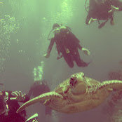 Dwight Dykstra's photo
