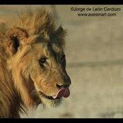 Photo de Jorge de Leon