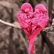 Angela Glover's photo