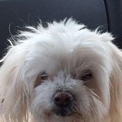 Debbie Zenk's photo
