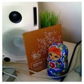 Pamela-Mei Wong's photo