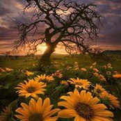 Kera Brazier's photo