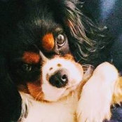 Clare Hutton's photo