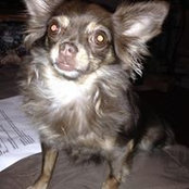 Melissa Stern's photo