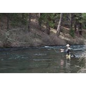 Rick Gillaspie's photo