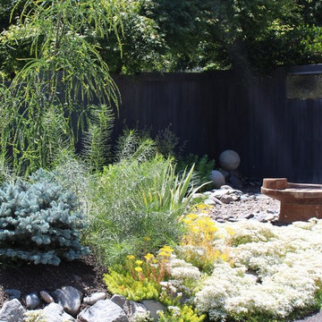Marian's minimal maintenance - front garden
