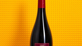 Champ Divin, Pinot Noir, 2020 – Juice Traders