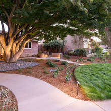 backyard landscape
