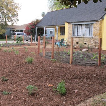 Edible Landscape and xeriscape