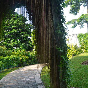 Trellis Garden - Singapore Botanic Gardens