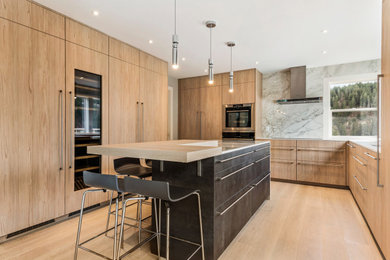 Inspiration for a modern kitchen remodel