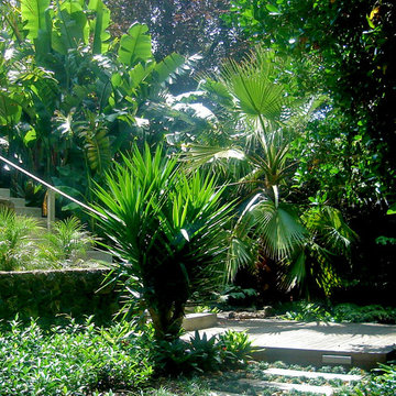 AUCKLAND SUB-TROPICAL