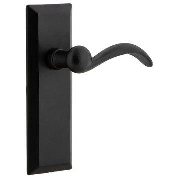Ageless Iron Keep Plate Privacy With Tine Lever, Black Iron
