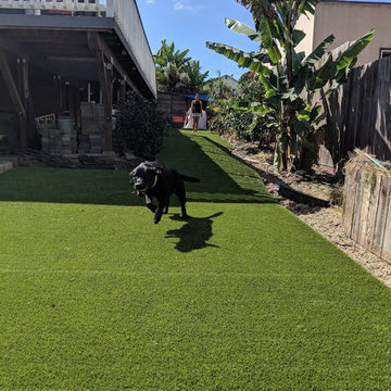 Doom, Goomba, and Ebby’s Backyard