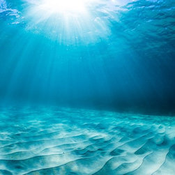 Cool Rays by Joel Coleman - Photographs