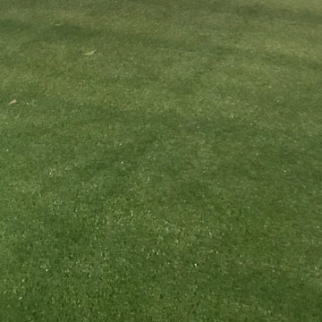 Dog Park