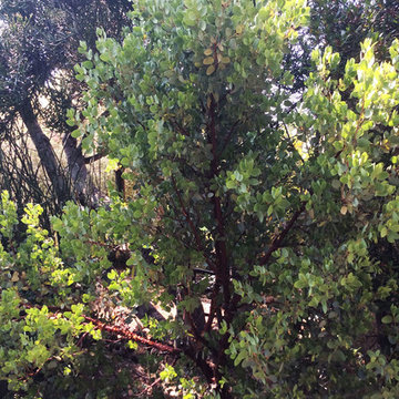 2017 Native Plant Garden Tour