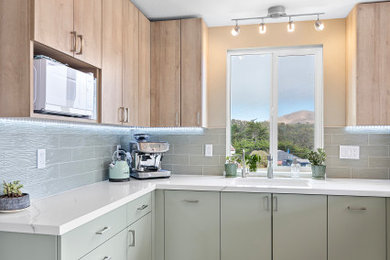 Transitional kitchen photo in San Francisco