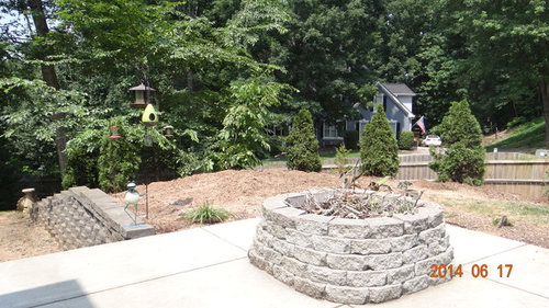 Backyard privacy ideas!