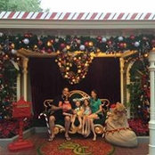 Tim Diener's photo