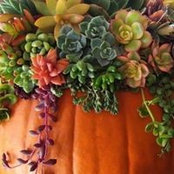 Liz Hooten's photo