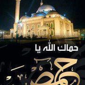 Bent Al Waleeds billede
