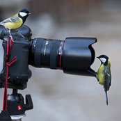 Roy Fiegenschue's photo