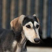 Doerte Goltermann's photo