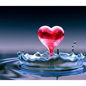 Mattie Clark's photo