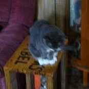 Bobbie Thorn Hill's photo